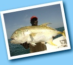 Séjours spécial pêche sportive dans les Bijagos en Guinée Bissau. Hébergement à l'hôtel sur l'ile de Bubaque