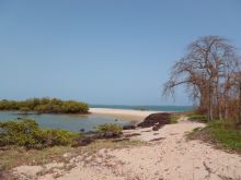 Bubaque island landscape in the Bijagos