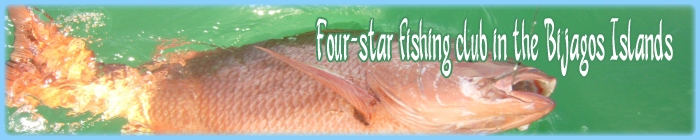 Special sport fishing stay in the Bijagos, Guinea Bissau. Hosting in hotel on bubaque island