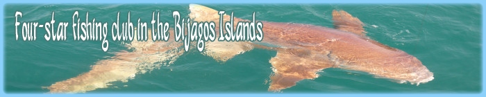 Sport fishing videos on bubaque island in the Bijagos archipelago