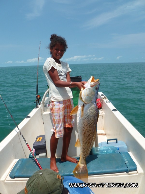 Photos Bijagos Island, Guinea Bissau : Our best catches - 