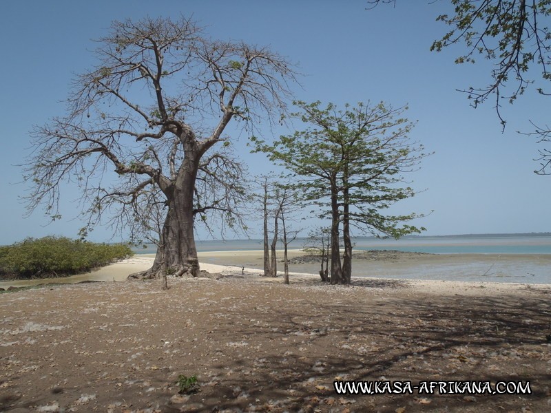 Photos de l'archipel Bijagos Guine Bissau : Paysages - Paysages des Bijagos