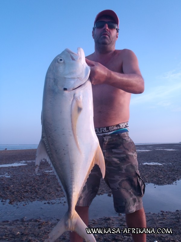 Photos Bijagos Island, Guinea Bissau : Our best catches - 