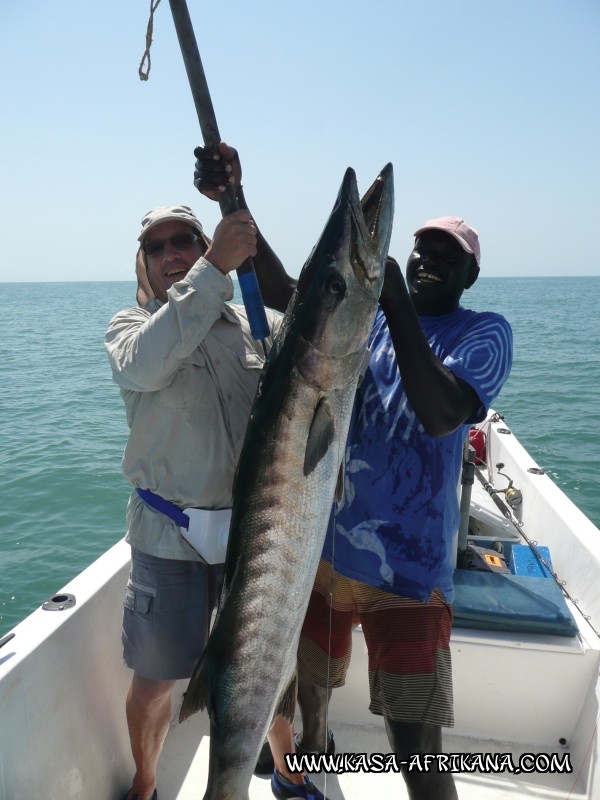 Photos Bijagos Island, Guinea Bissau : Our best catches - 