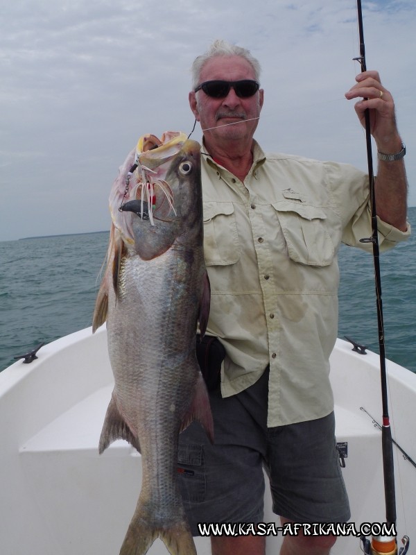 Photos Bijagos Island, Guinea Bissau : Our best catches - 