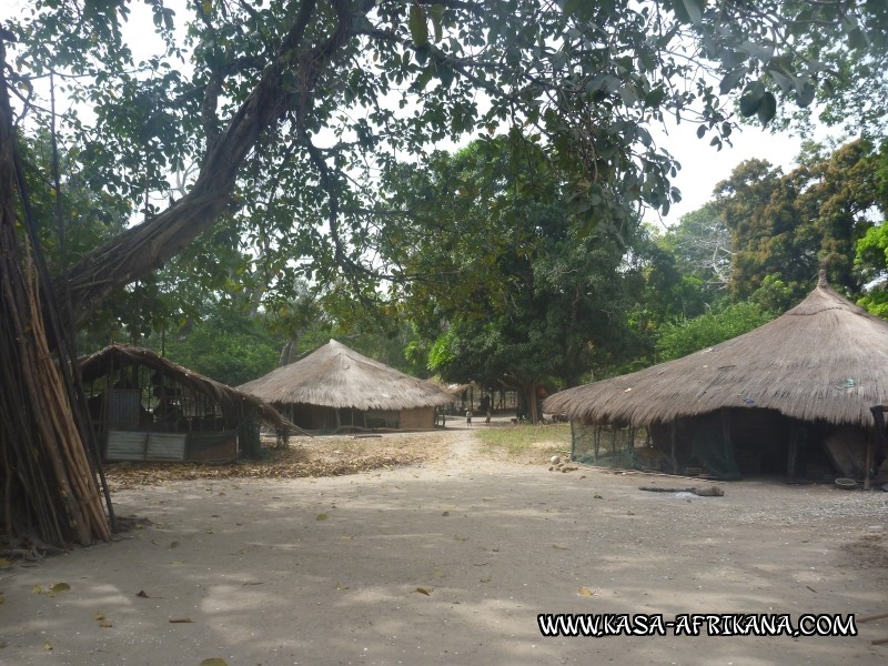 Photos Bijagos Island, Guinea Bissau : Landscape - 