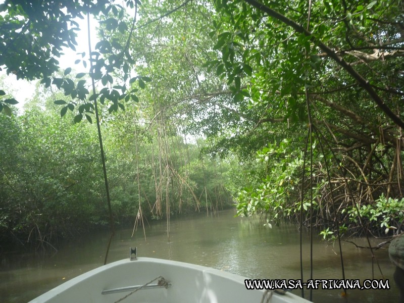 Photos de l'archipel Bijagos Guine Bissau : Paysages - Mangrove