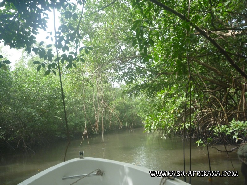 Photos Bijagos Island, Guinea Bissau : Landscape - 