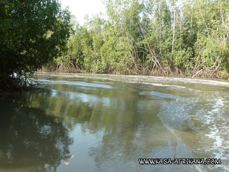 Photos Bijagos Island, Guinea Bissau : Landscape - 