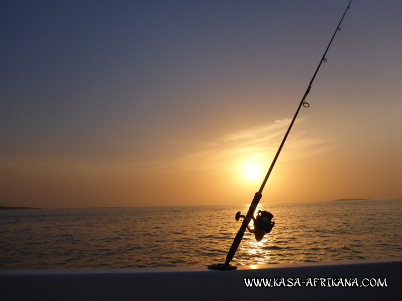 Photos Bijagos Island, Guinea Bissau : Landscape - 