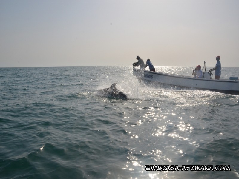 Photos Bijagos Island, Guinea Bissau : Local wildlife - 