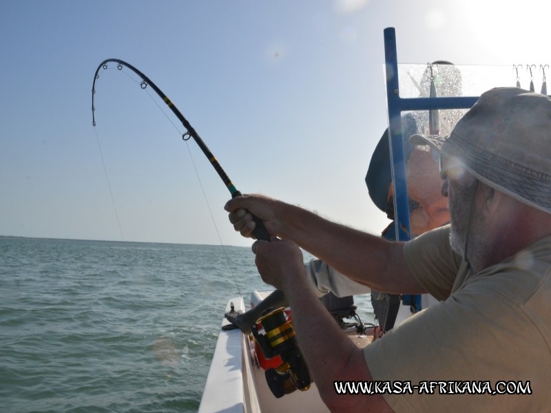 Photos Bijagos Island, Guinea Bissau : In action - 