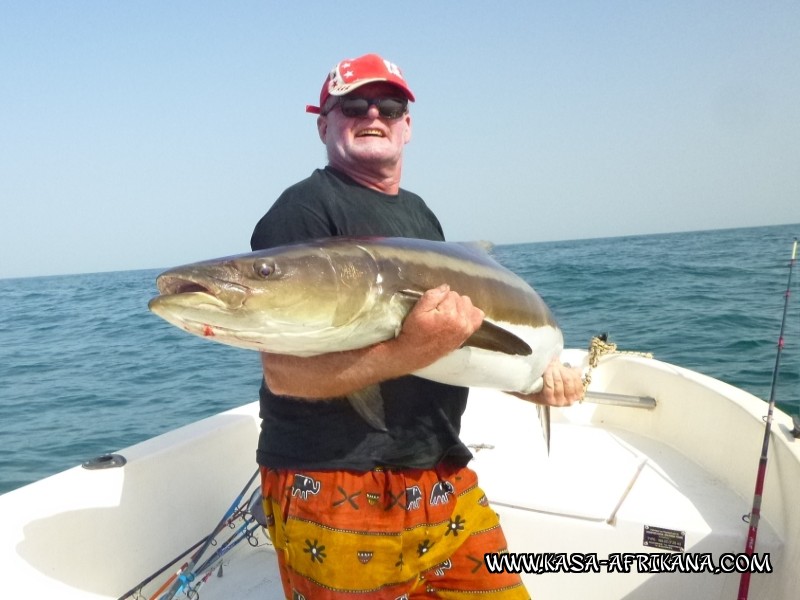 Photos Bijagos Island, Guinea Bissau : Our best catches - 