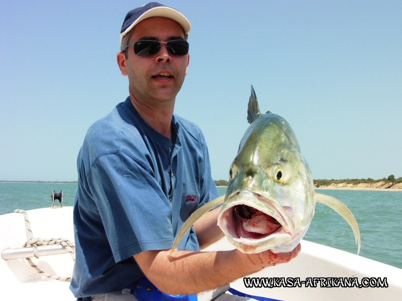 Photos Bijagos Island, Guinea Bissau : Our best catches - 