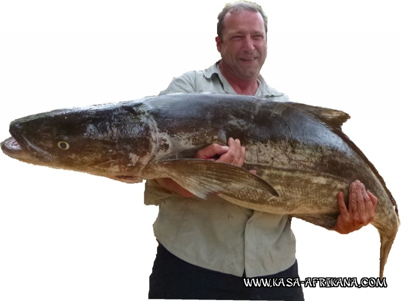 Photos de l'archipel Bijagos Guine Bissau : Nos plus belles prises - Cobia de Giani