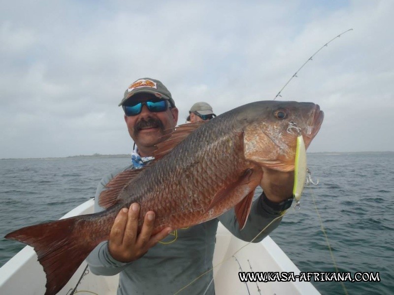 Photos Bijagos Island, Guinea Bissau : Our best catches - 