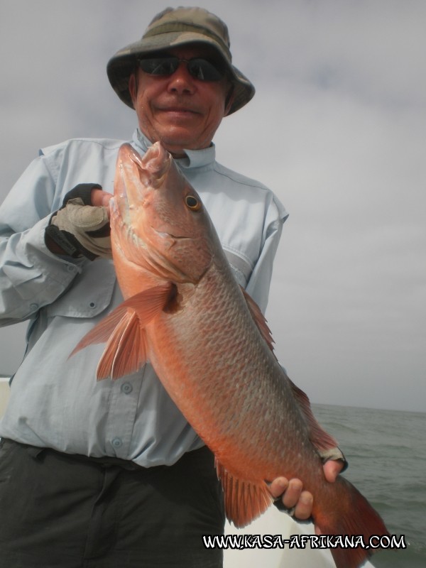 Photos Bijagos Island, Guinea Bissau : Our best catches - 