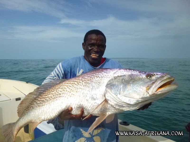 Photos Bijagos Island, Guinea Bissau : Our best catches - 