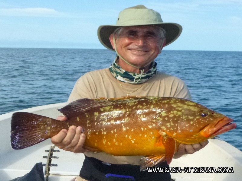 Photos de l'archipel Bijagos Guine Bissau : Poissons de l'archipel - Beau mrou