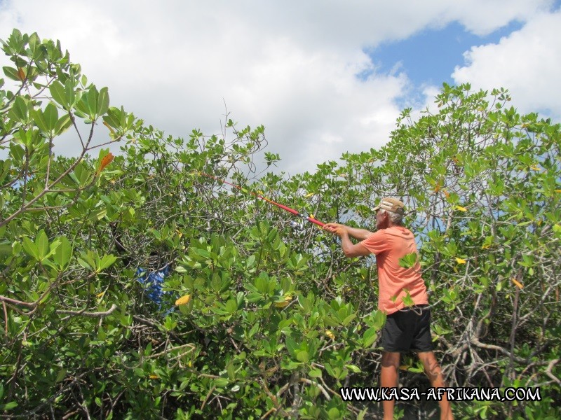 Photos Bijagos Island, Guinea Bissau : In action - 