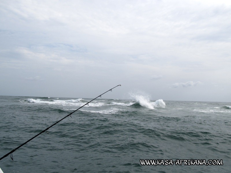 Photos Bijagos Island, Guinea Bissau : Landscape - 