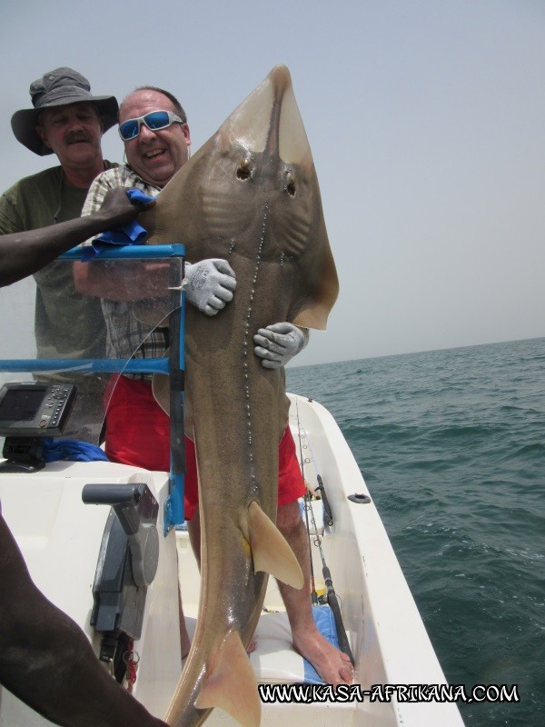 Photos Bijagos Island, Guinea Bissau : Our best catches - 