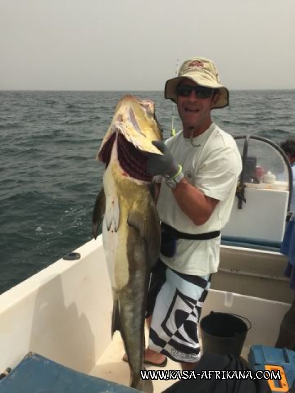 Photos de l'archipel Bijagos Guine Bissau : Nos plus belles prises - Cobia de Yannick