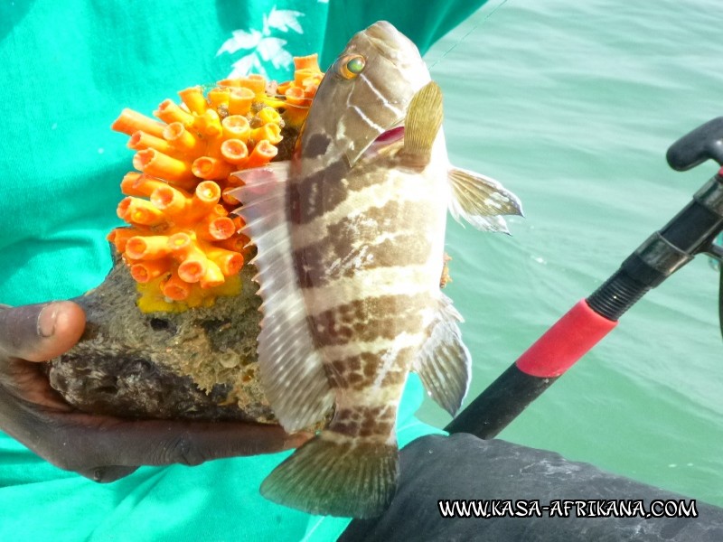 Photos Bijagos Island, Guinea Bissau : Picturesque - 