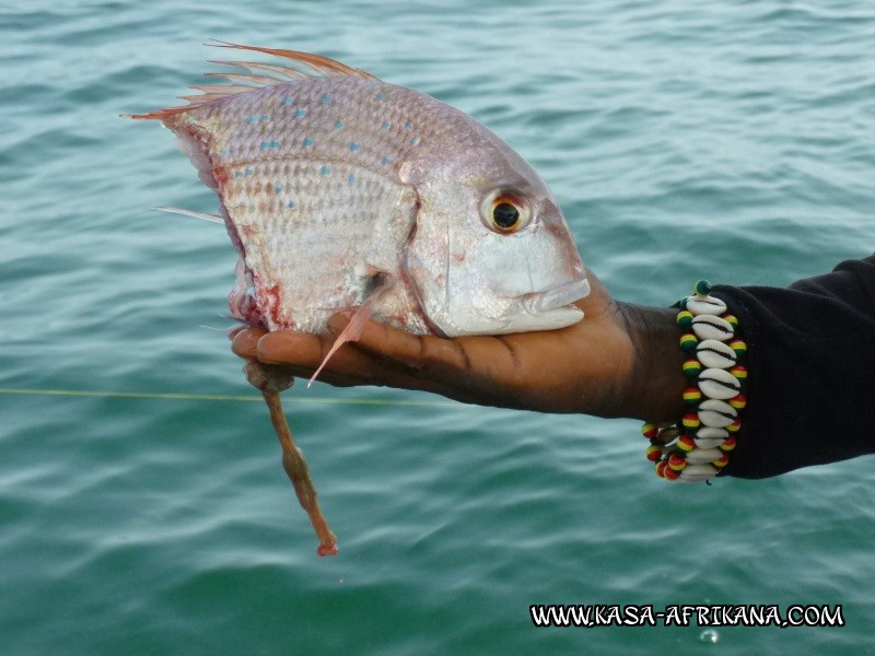 Photos Bijagos Island, Guinea Bissau : Picturesque - 