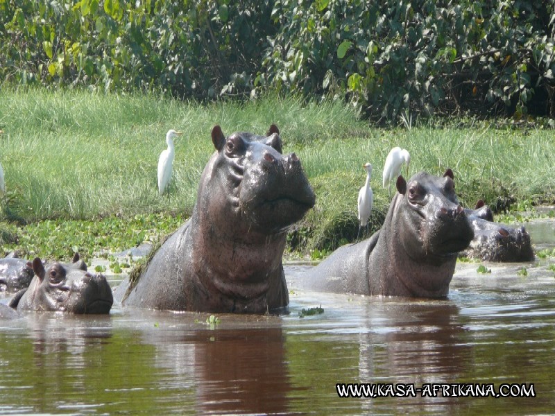 Photos Bijagos Island, Guinea Bissau : Picturesque - 