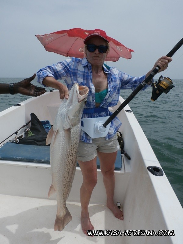 Photos Bijagos Island, Guinea Bissau : Our best catches - 