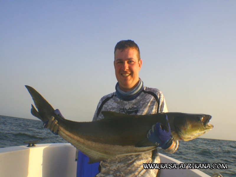 Photos de l'archipel Bijagos Guine Bissau : Nos plus belles prises - Cobia de Maxime