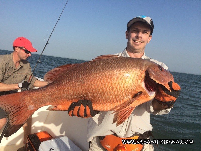 Photos Bijagos Island, Guinea Bissau : Our best catches - 