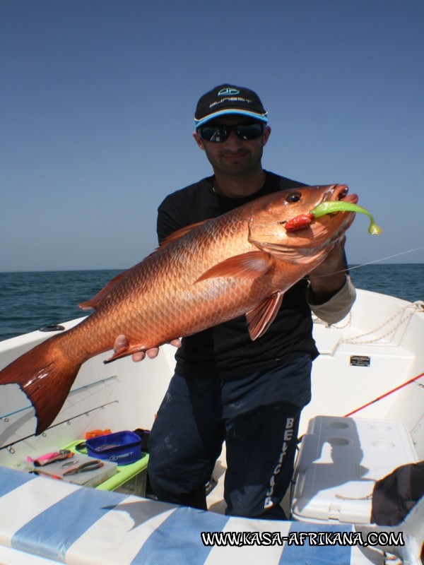 Photos Bijagos Island, Guinea Bissau : Our best catches - 