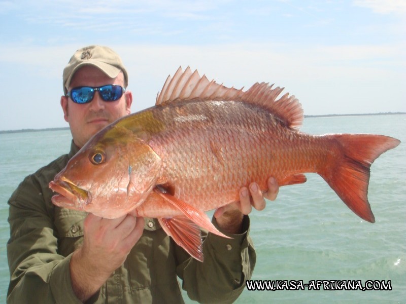 Photos Bijagos Island, Guinea Bissau : Our best catches - 