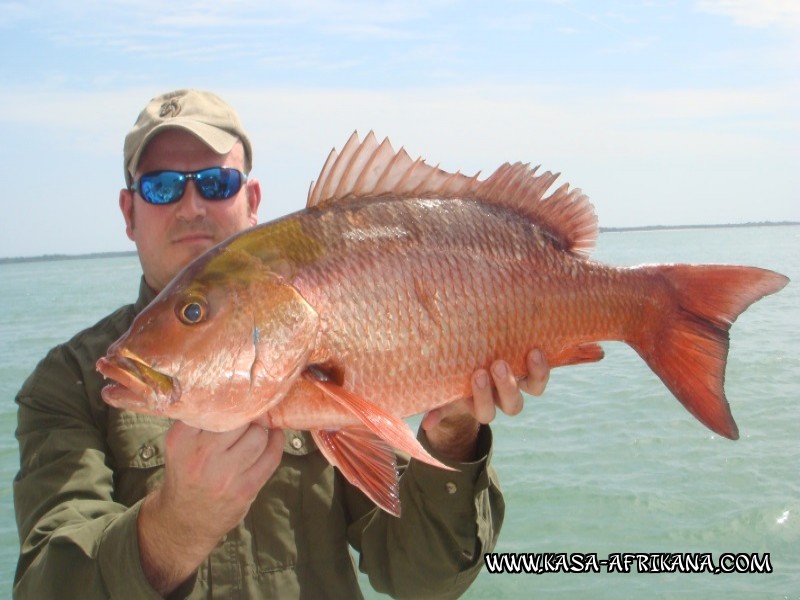 Photos Bijagos Island, Guinea Bissau : Our best catches - 