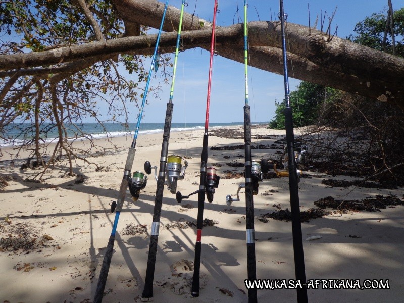 Photos Bijagos Island, Guinea Bissau : Landscape - 