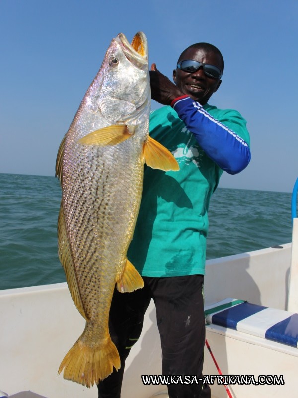 Photos de l'archipel Bijagos Guinée Bissau : Nos plus belles prises - Otholite = Ombrine