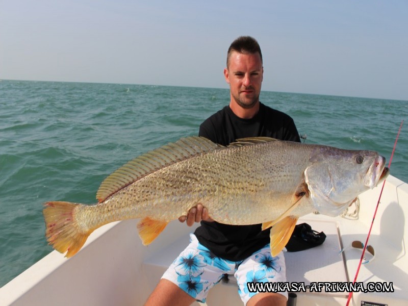 Photos Bijagos Island, Guinea Bissau : Our best catches - 