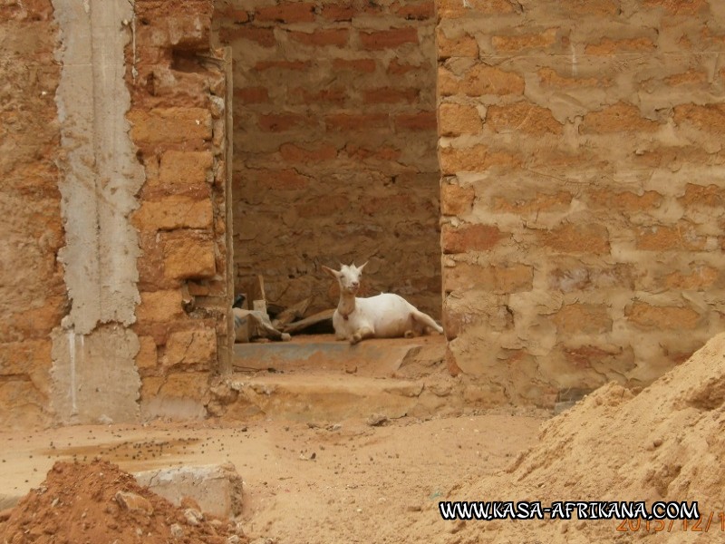 Photos de l'archipel Bijagos Guine Bissau : Pittoresque - Cool ! pas de blme