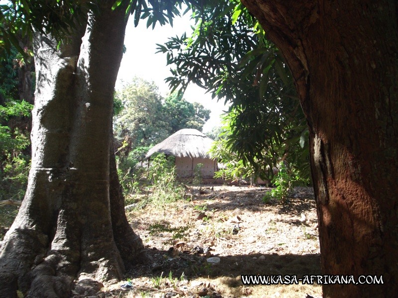 Photos de l'archipel Bijagos Guine Bissau : Peuple Bijagos - Vie tranquille