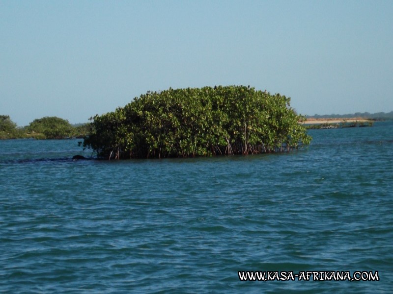 Photos de l'archipel Bijagos Guine Bissau : Paysages - Paysages des les