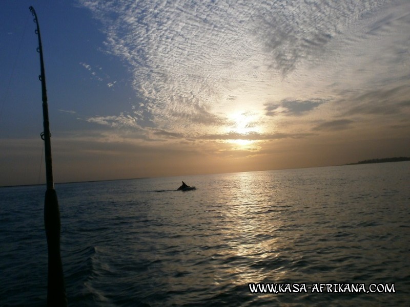 Photos Bijagos Island, Guinea Bissau : Landscape - 