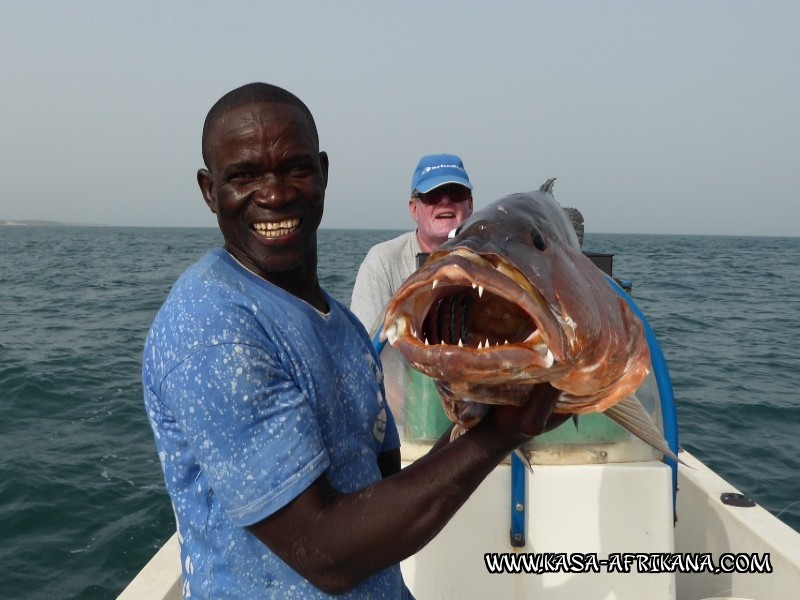 Photos Bijagos Island, Guinea Bissau : Our best catches - 