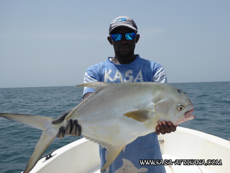 Photos de l'archipel Bijagos Guine Bissau : Poissons de l'archipel - Permit