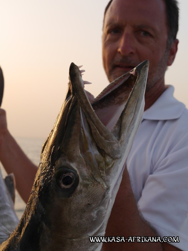 Photos Bijagos Island, Guinea Bissau : Our best catches - 