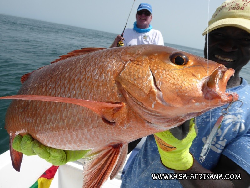 Photos Bijagos Island, Guinea Bissau : Our best catches - 