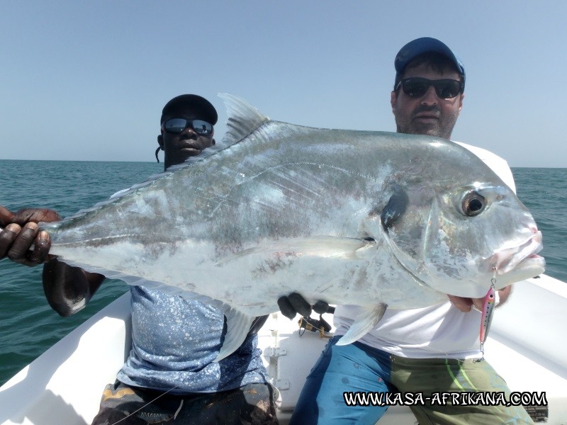 Photos de l'archipel Bijagos Guine Bissau : Spcial Carangues - Pompano de Bruno