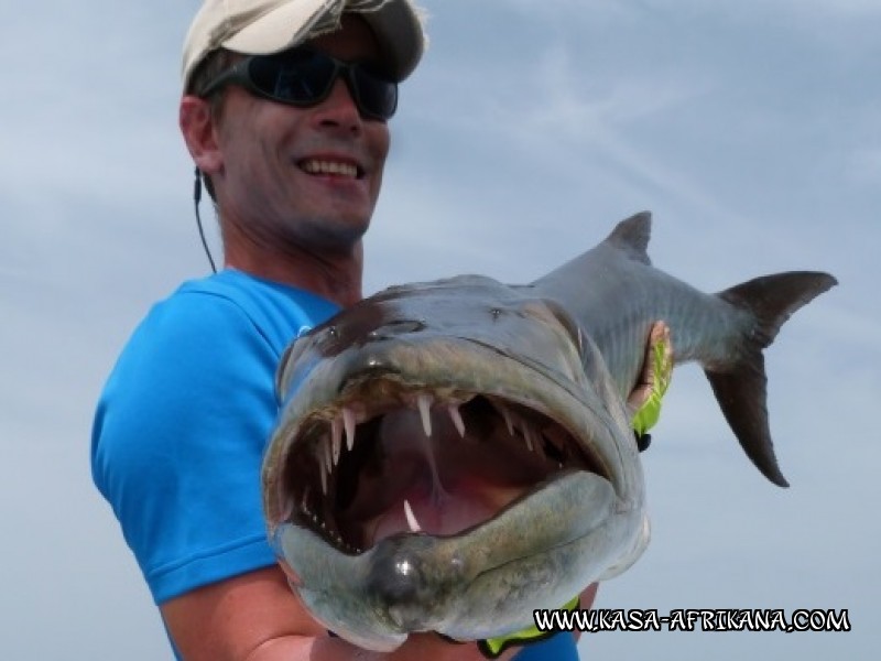 Photos Bijagos Island, Guinea Bissau : Fishes in the archipelago - 