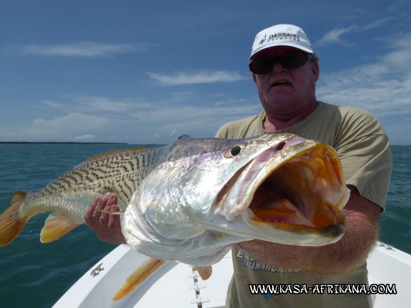 Photos Bijagos Island, Guinea Bissau : Our best catches - 